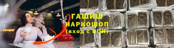 индика Белокуриха