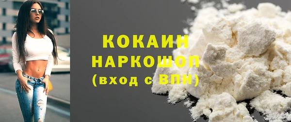 индика Белокуриха