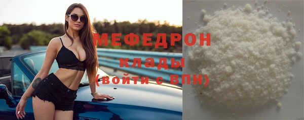 индика Белокуриха