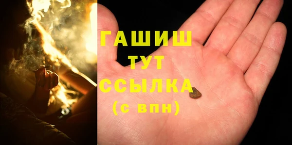 индика Белокуриха