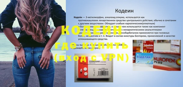 индика Белокуриха