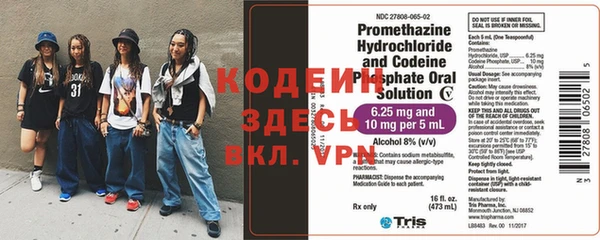 индика Белокуриха
