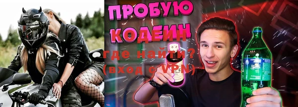 индика Белокуриха