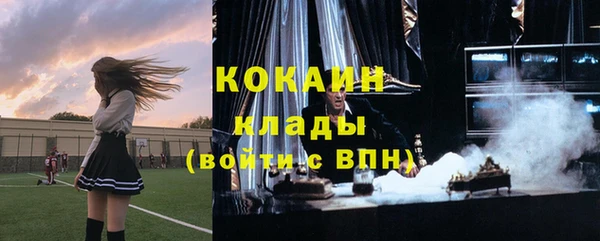 индика Белокуриха